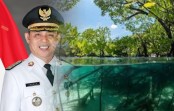 Bupati Inhil Soroti Maraknya Pengurusan Izin Blue Carbon Mangrove Tanpa Koordinasi