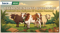 Bupati Herman Ikuti Serah Terima Bantuan Sapi Kurban Presiden untuk Iduladha 1447 H