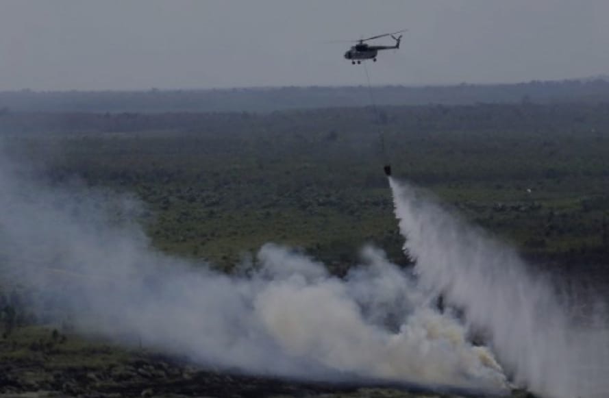 Titik Api di Riau Meningkat, Satgas Udara Kerahkan 3 Heli Pemadam dan 2 Pesawat Modifikasi Cuaca