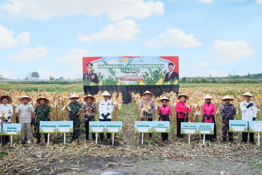 Dukung Ketahanan Pangan Nasional, Polda Riau Panen Raya Jagung Serentak