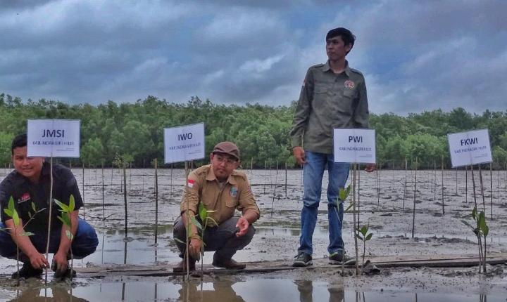 Tanam Mangrove, Merawat Benteng Terakhir Ekosistem Pesisir Inhil