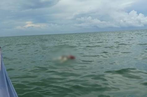 Nelayan Temukan Mayat Mr X di Perairan Desa Kuala Selat Kecamatan Kateman