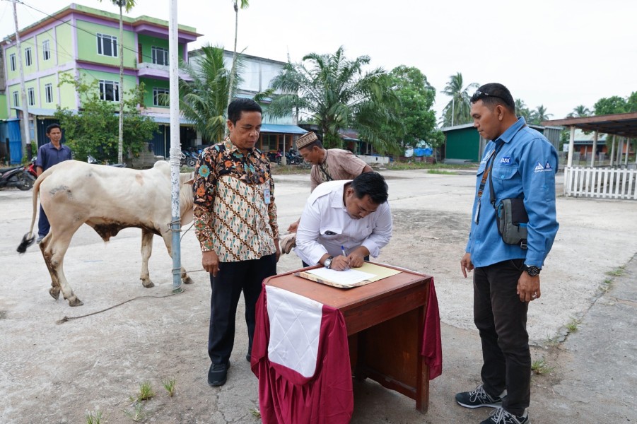 Sambu Group dan YBDA Kembali Salurkan Hewan Kurban Iduladha 1446 Hijriah di Kateman   