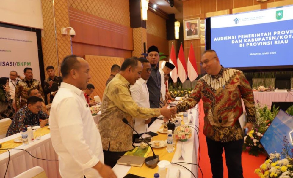 Bupati Inhil Paparkan Potensi Hilirisasi Kelapa di Hadapan Menteri Investasi RI