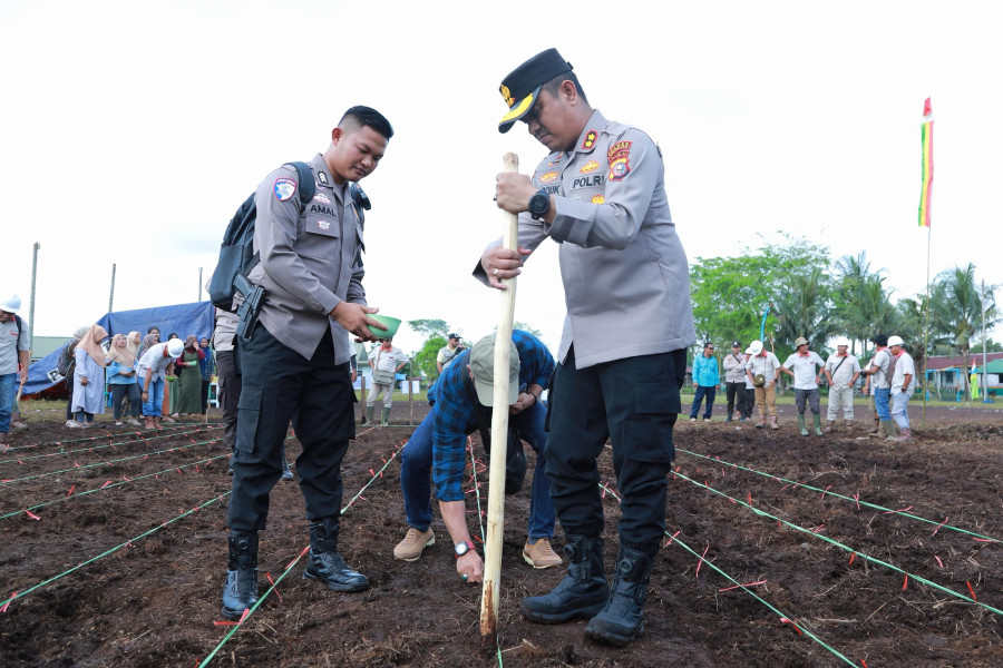 Bersama Bupati, Kapolres Inhil Tanam Jagung di Lahan THIP Estate Sengkawang