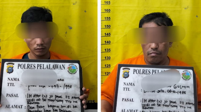 Ungkap Peredaran Narkoba di Pelalawan, Pelaku Narkoba Diringkus