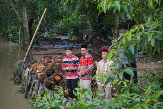 Tinjau Jembatan Parit Landang, Pj Bupati Erisman Upayakan Perbaikan