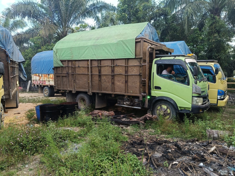 Empat Truk Pengangkut Kayu Ilog Diamankan, Pemiliknya Kabur saat Hendak Ditangkap