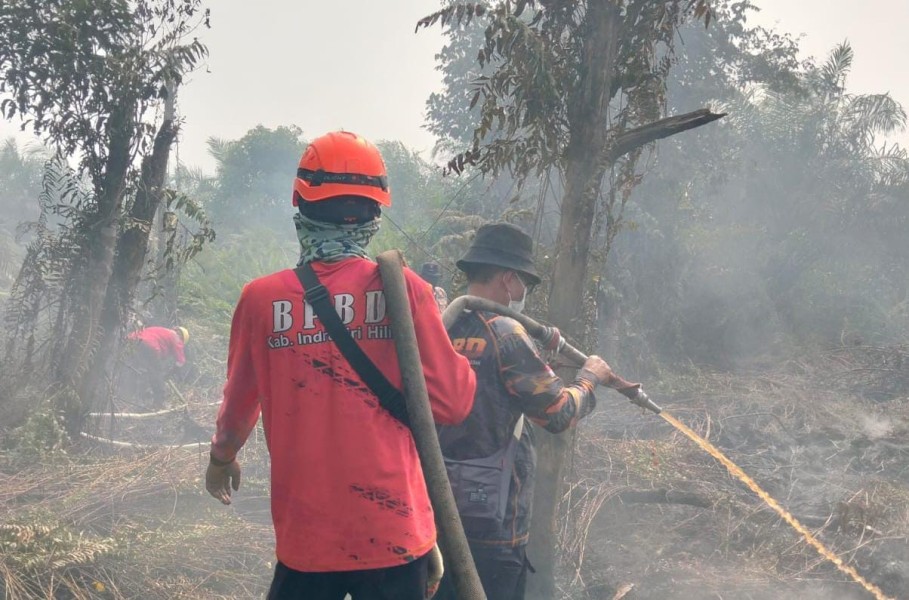 Bupati Inhil Instruksikan BPBD Tangani Karhutla Hanguskan 10 Hektare di Bayas Jaya