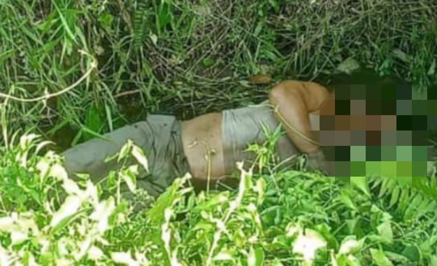 3 Hari Hilang, Ditemukan Sudah Tewas di Kebun Sawit