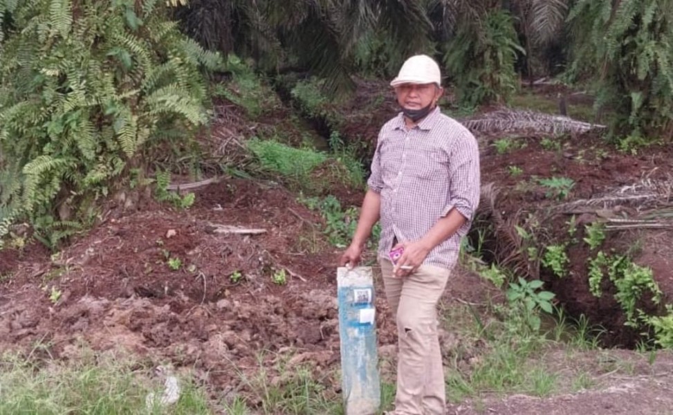 Kebun Sawit Baharudin di Tempuling Dirampas Perusahaan