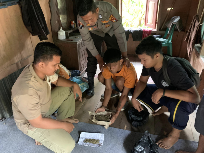 Dramatis Penangkapan Bandar Ganja, Kapolsek Kelayang Bergelut dengan Pelaku