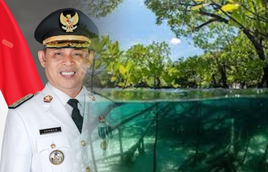 Bupati Inhil Soroti Maraknya Pengurusan Izin Blue Carbon Mangrove Tanpa Koordinasi