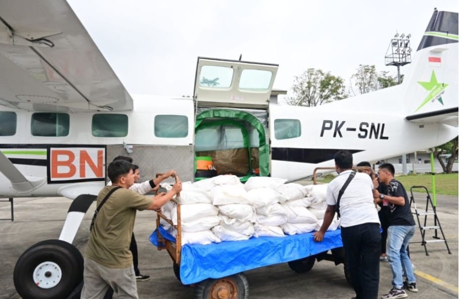 Operasi Modifikasi Cuaca, Satgas Udara Karhutla Riau Tebar 10 Ton Garam