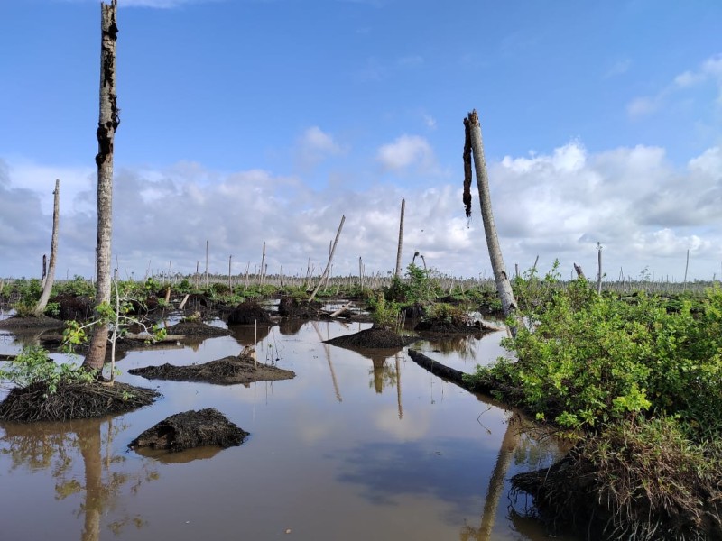 Atasi Bencana Ekologis, BDPN Desak Pemda Segera Susun Rencana Aksi Daerah Mitigasi dan Adaptasi Perubahan Iklim