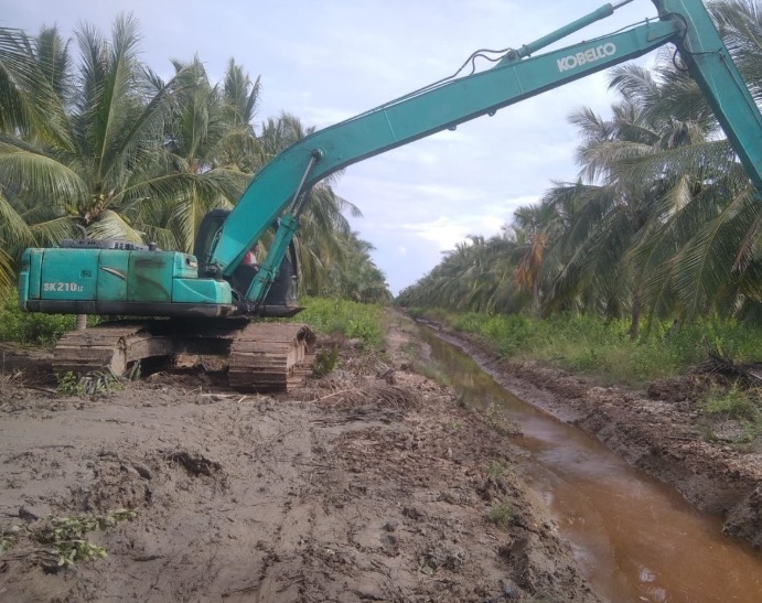 Bersama YBDA, Sambu Group Bangun Tanggul untuk Lestarikan Kebun Kelapa di Sungai Simbar