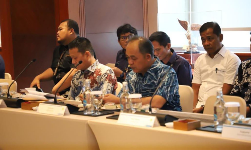 Bupati Inhil Sampaikan Kondisi Krisis Listrik di Desa-desa saat Audiensi Bersama PLN Pusat