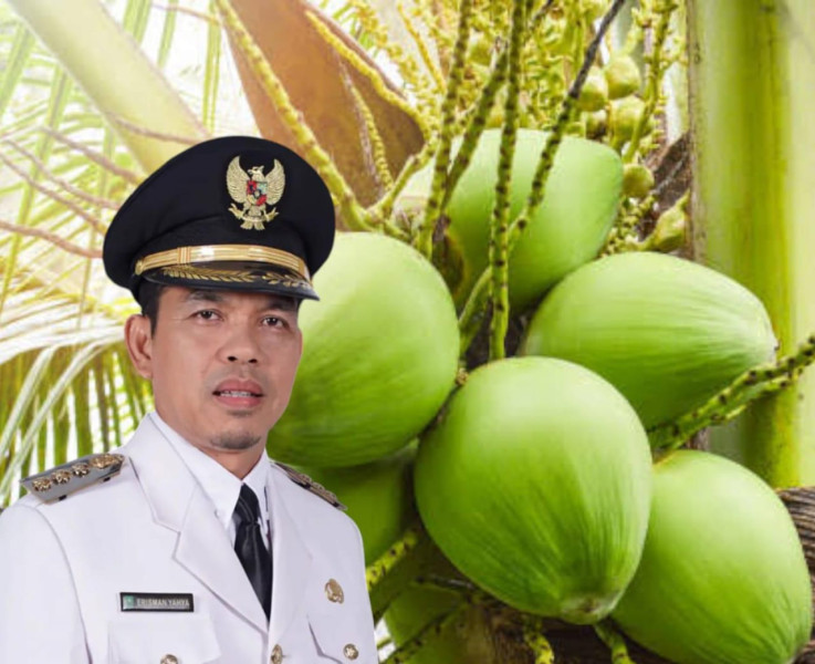 Pj Bupati Inhil Erisman Yahya Apresiasi Harga Kelapa Capai Rp. 4.900 per Kilogram
