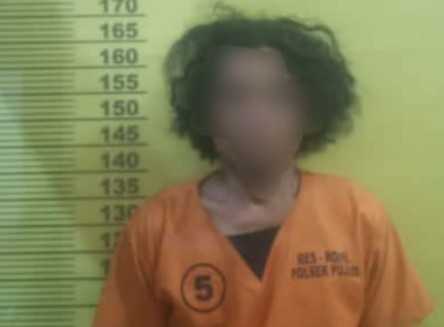 Cabuli Anak Kandung, Seorang Ayah di Rohil Ditangkap Polisi