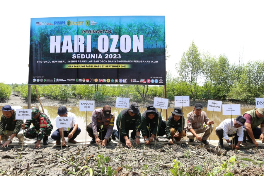 Lestarikan Alam, PT PNM, BDPN dan Unisi Tanam Mangrove di Dusun Sungai Bandung