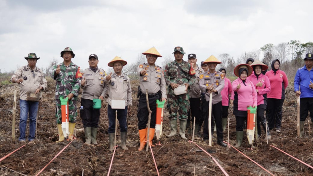 Inhil Dapat Alokasi 53.000 Hektare, Penanaman Perdana Jagung Dimulai di Kuala Sebatu
