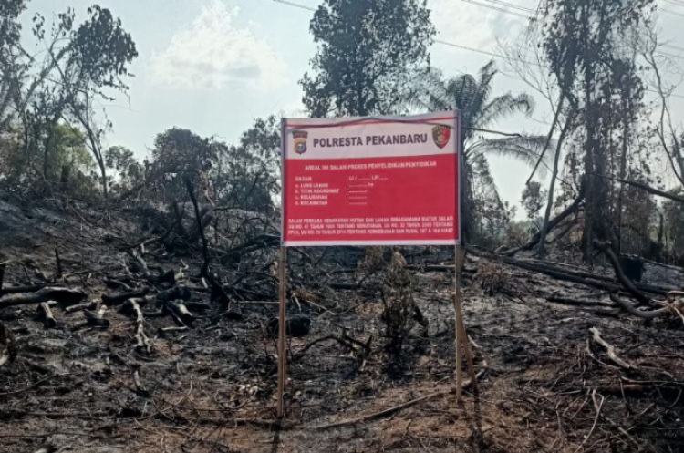 Petani Sayur di Riau Berurusan dengan Polisi Akibat Bakar Lahan