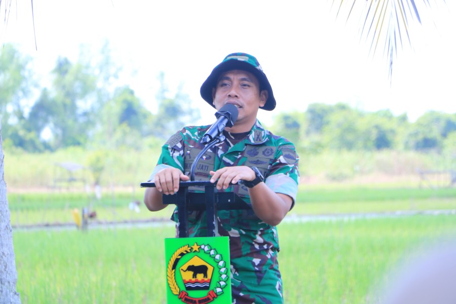 Dukung Swasembada Pangan, Dandim 0314/Inhil Hadiri Penanaman Padi Serentak di Tempuling