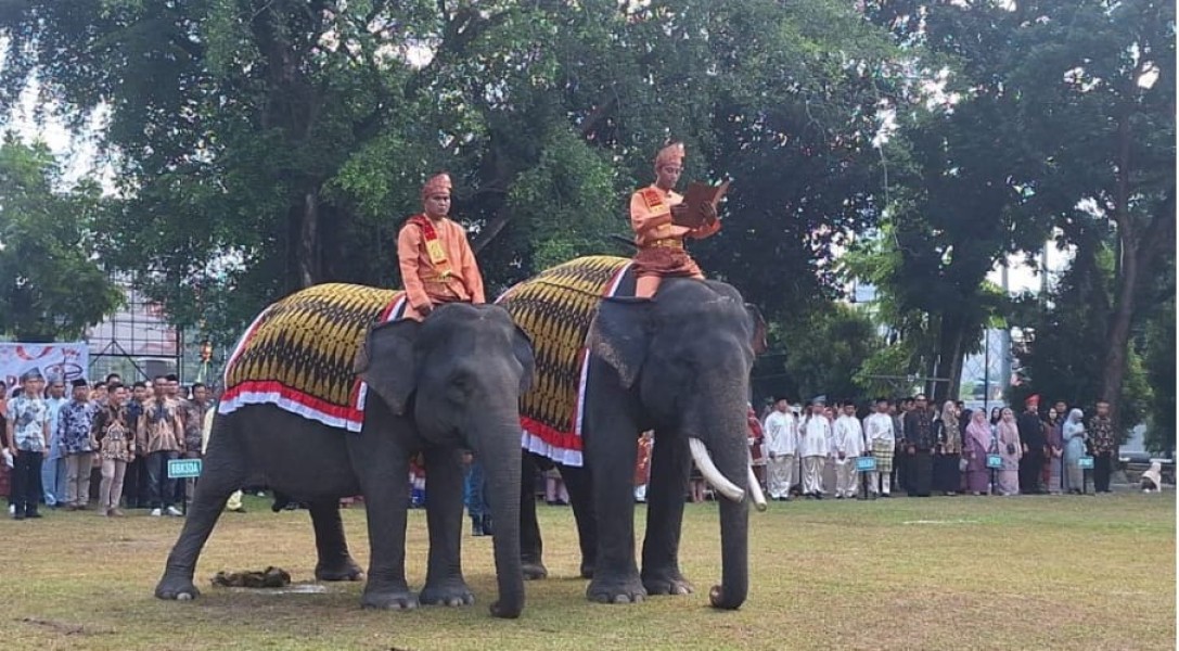 BBKSDA Riau Tampilkan Gajah Vera dan Jopi Bikin Kagum di HUT RI ke-80