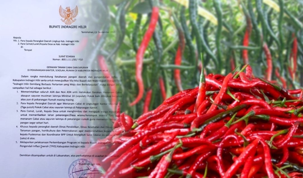 Tekan Laju Inflasi, Bupati Inhil Terbitkan Surat Edaran Gerakkan Menanam Cabai