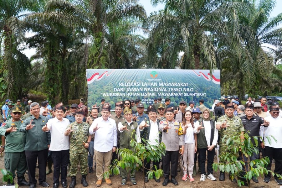 Disaksikan Menhut, Gubernur, Kapolda, Pangdam XIX, dan Kajati Riau, Penumbangan Sawit Awali Pemulihan Tesso Nilo