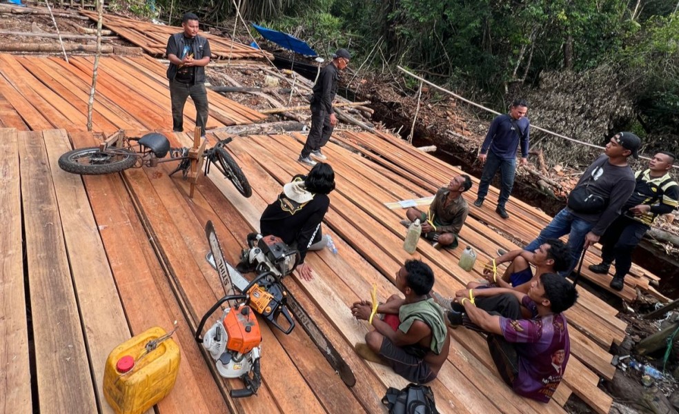 Polres Inhil Tangkap Enam Pelaku Illegal Logging di Kawasan Hutan Konsesi PT SPA