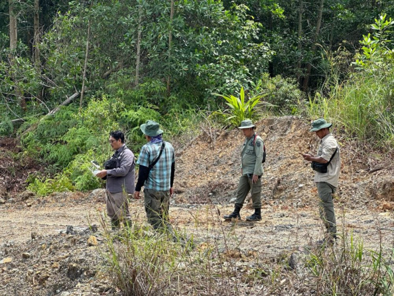 Jual Hutan Lindung Rp 150 Hektare, Kades dan Sekdes di Inhu Ditangkap