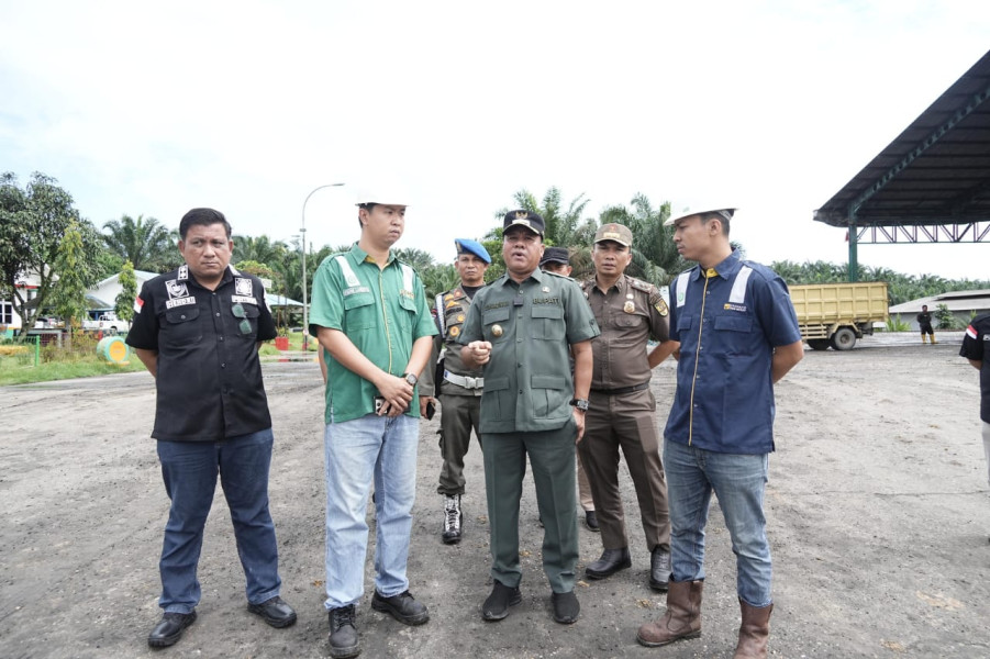 Jejak Sawit Ilegal,  Sidak Bupati Kuansing Ungkap Praktik di PT GSL