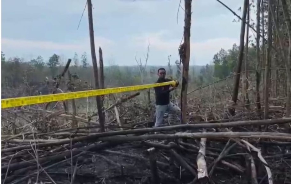 Polisi Selidiki Kebakaran Lahan di Kawasan Habitat Gajah Harimau di TNTN