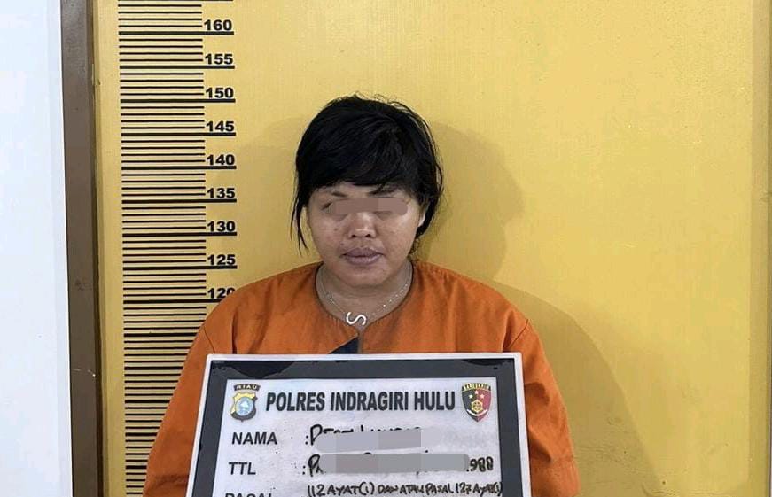 Hendak Konsumsi Sabu, IRT di Inhu Diringkus Polisi