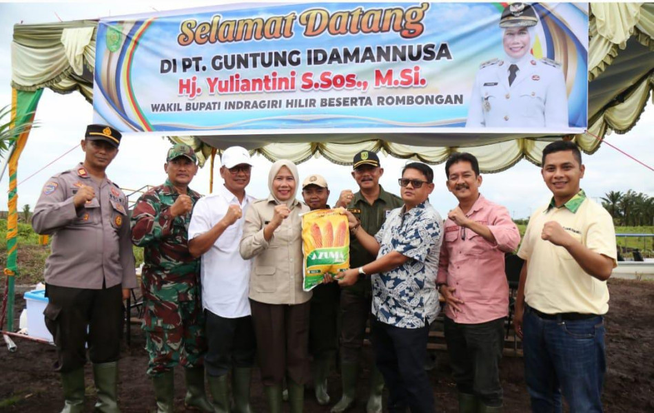 Dukung Swasembada Pangan 2025, Wabup Inhil Hadiri Penanaman Jagung Serentak