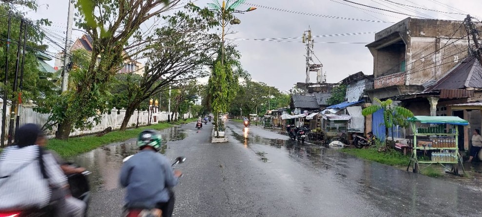 Pohon di Jalan Baharuddin Yusuf Tembilahan Rawan Tumbang