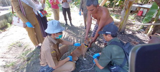 Warga Kempas Meninggal Digigit Anjing, PKH Riau Vaksin Anti Rabies Massal