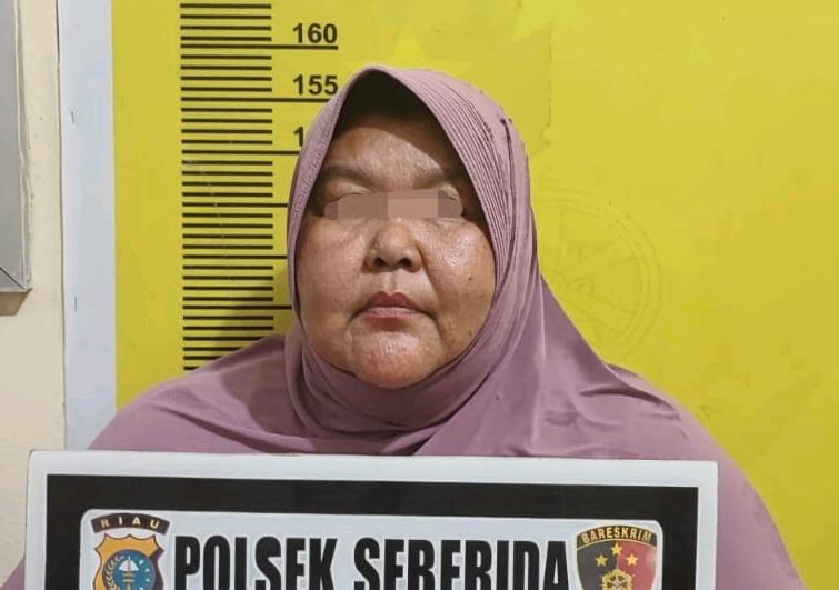 Iming-iming Luluskan PNS, Wanita Ini Tipu Korban Ratusan Juta