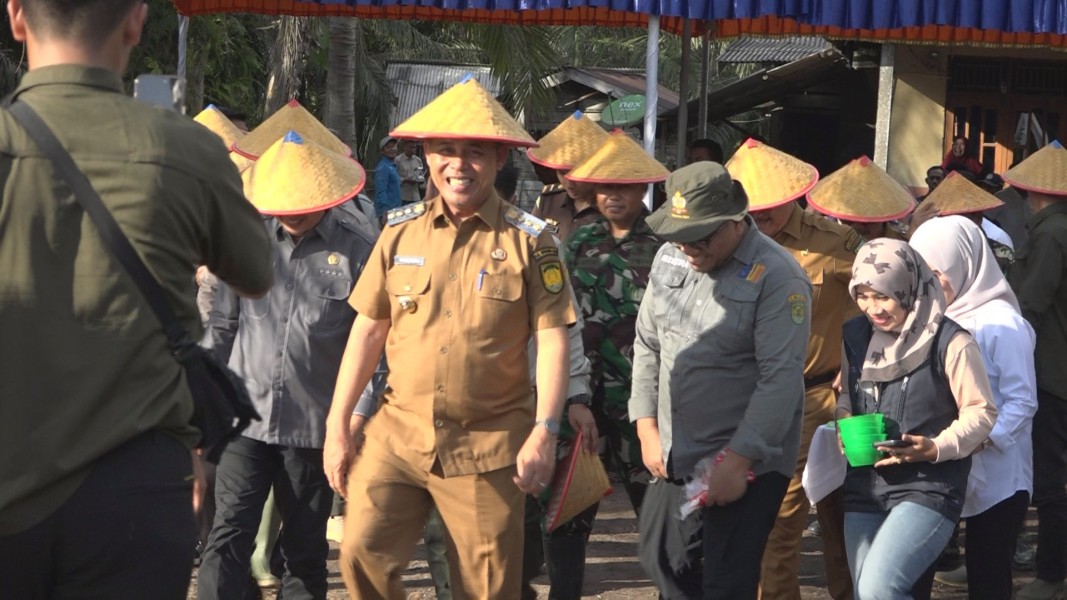 Bupati Inhil Tanam Perdana Padi Gogo di Lahan Sawit Program PSR